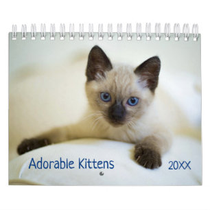 Niedlich Kittens Pet Foto Kalender