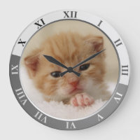 Niedlich Kitty