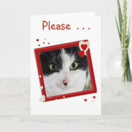 Niedlich Kitty Valentine Feiertagskarte