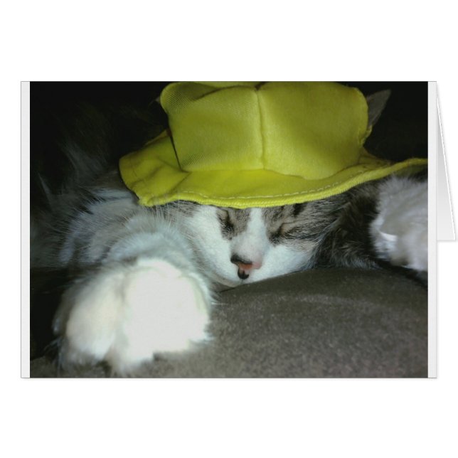 NIEDLICH KITZE (Vorderseite (Horizontal))