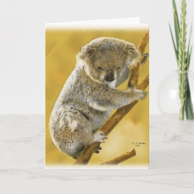 Niedlich...Koala Bär...Card! Karte (Vorderseite)