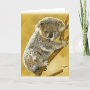 Niedlich...Koala Bär...Card! Karte