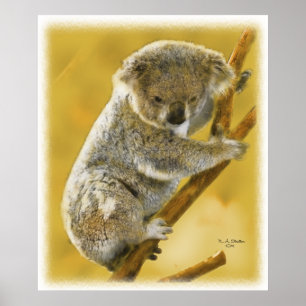 Niedlich...Koala Bär...Poster und Print! Poster