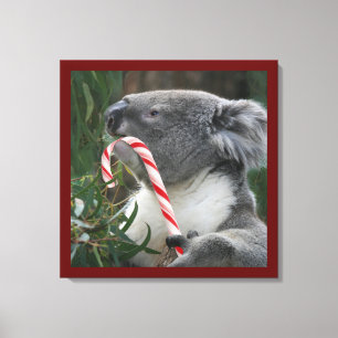 Niedlich Koala Eating Candy Cane Leinwanddruck