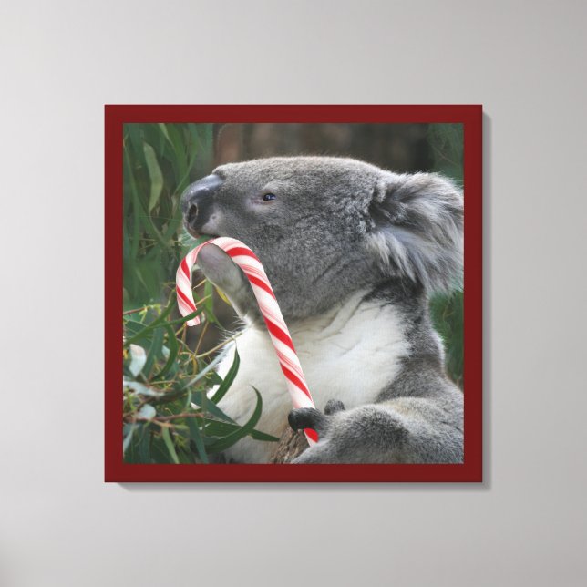 Niedlich Koala Eating Candy Cane Leinwanddruck (Vorderseite)