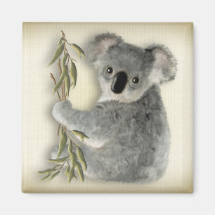 Niedlich Koala Magnet