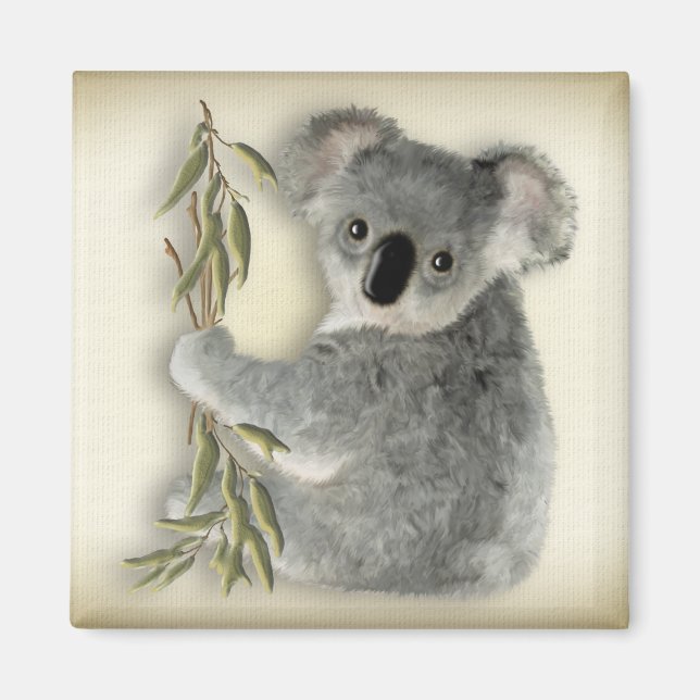 Niedlich Koala Magnet (Vorne)
