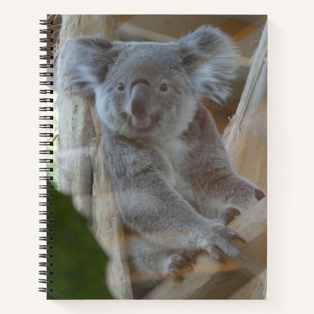 Niedlich-Koala-Notebook Notizbuch (Vorderseite)