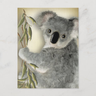 Niedlich Koala Postkarte