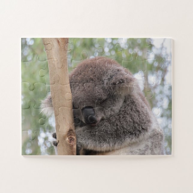 niedlich koala puzzle (Horizontal)