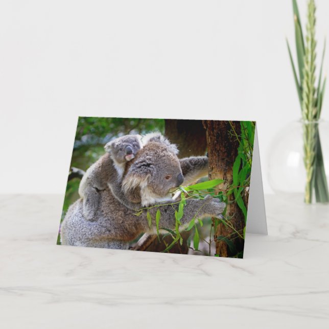 Niedlich Koalas Karte (Vorderseite)
