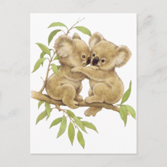 Niedlich Koalas Postkarte (Vorderseite)