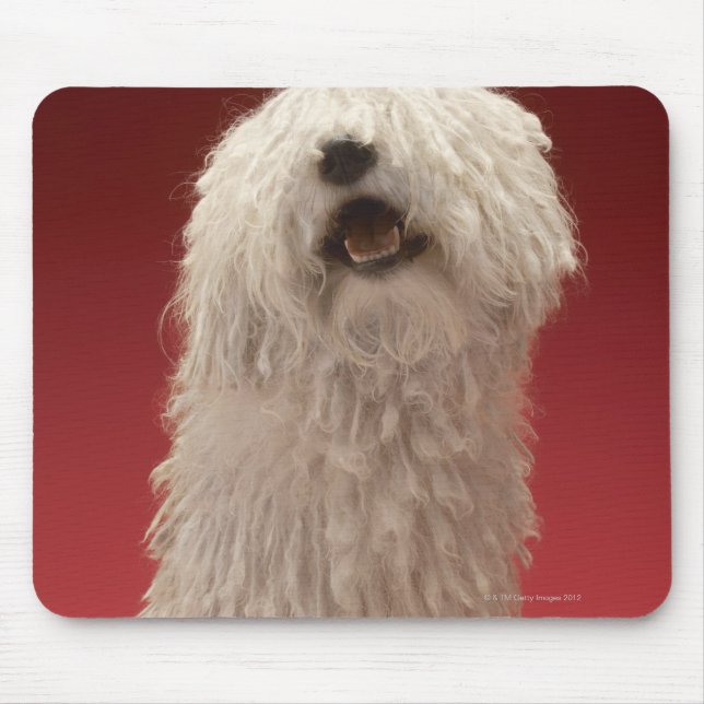 Niedlich Komondor Hund Mousepad (Vorne)