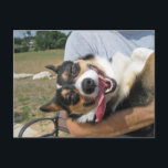 Niedlich Lächeln Corgi Hund Postkarte<br><div class="desc">Diese Karte ist perfekt. Erstellen Sie Ihre eigene Nachricht, alles von "Du bist immer da, um mich hochzuhalten" bis "Du kannst mich immer zum Lächeln bringen." Dieser bezaubernde Korgi wird dem Empfänger ein Lächeln auf die Stirn bringen! Ich Liebe schöne Hundefotos. Diese hübsche Trikolorpembrache weiße Korgi sieht aus, als ob...</div>