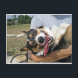 Niedlich Lächeln Corgi Hund Postkarte<br><div class="desc">Diese Karte ist perfekt. Erstellen Sie Ihre eigene Nachricht, alles von "Du bist immer da, um mich hochzuhalten" bis "Du kannst mich immer zum Lächeln bringen." Dieser bezaubernde Korgi wird dem Empfänger ein Lächeln auf die Stirn bringen! Ich Liebe schöne Hundefotos. Diese hübsche Trikolorpembrache weiße Korgi sieht aus, als ob...</div>