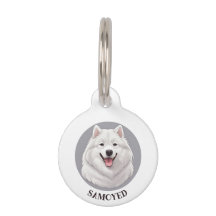 Niedlich Lächeln Samoyed Hund