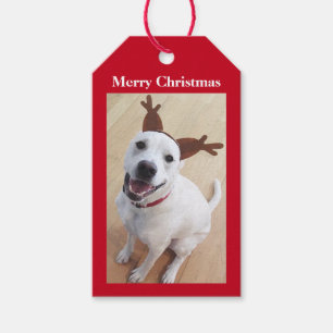 Niedlich Lächelnd Weiße Rentiere Welpen Weihnach Geschenkanhänger