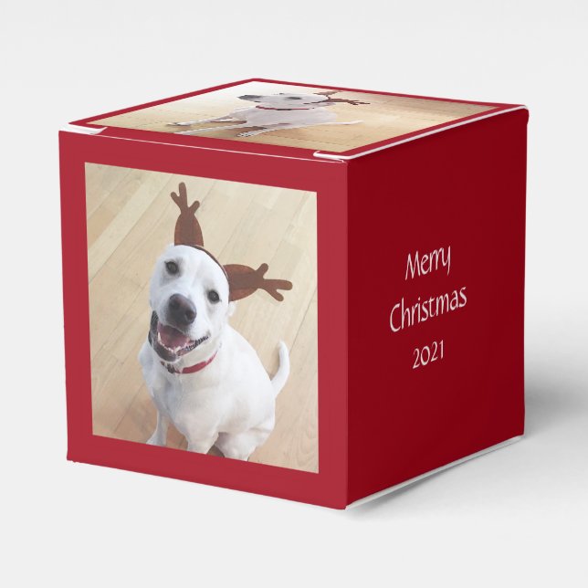 Niedlich lächelnd Weißer Rentier Hund Weihnachten  Geschenkschachtel (Vorderseite)