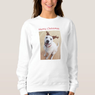 Niedlich lächelnd Weißer Rentier Hund Weihnachten  Sweatshirt