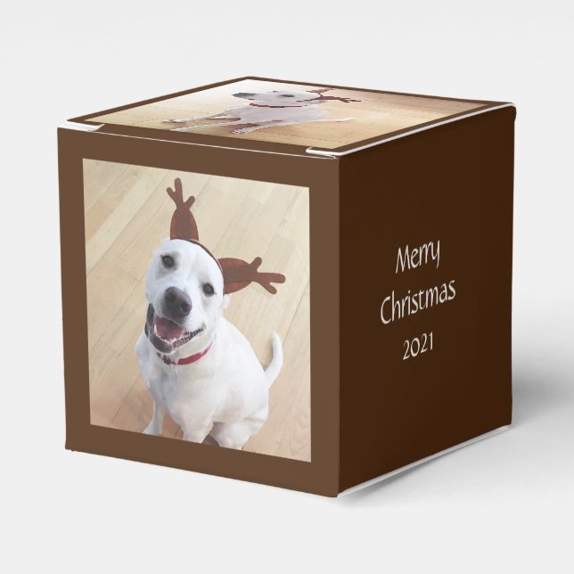 Niedlich lächelnd Weißer Rentier Hund Weihnachtsbr Geschenkschachtel (Vorderseite)