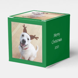 Niedlich lächelnd Weißer Rentier Hund Weihnachtsgr Geschenkschachtel