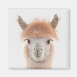 Niedlich Lama Magnet (Alpaca) | Sammelbar