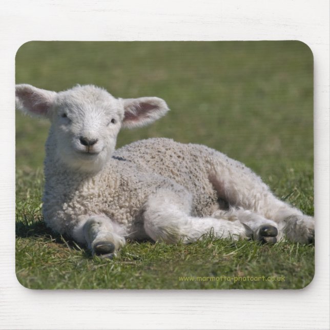 Niedlich Lamb Mousemat Mousepad (Vorne)