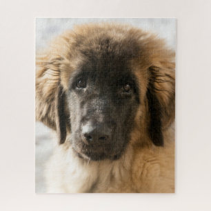 Niedlich Leonberger Puppy Puzzle