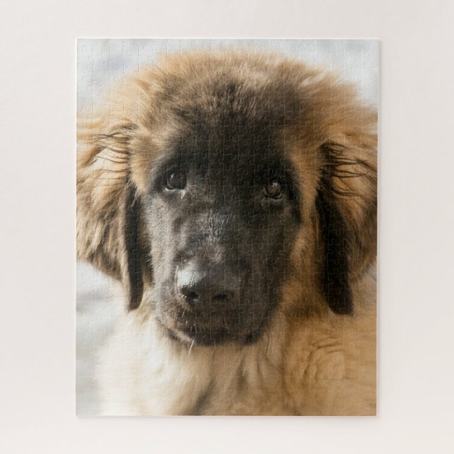 Niedlich Leonberger Puppy Puzzle (Vertikal)