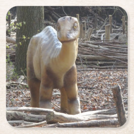 Niedlich Little Beige Dinosaurier Untersetzer