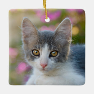 Niedlich Little Bicolor Kitten Fluffy Foto Cat Lov Keramikornament