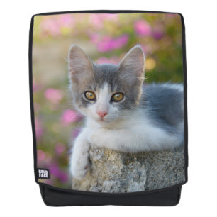 Niedlich Little Bicolor Kitten Fluffy Foto Cat Lov Rucksack