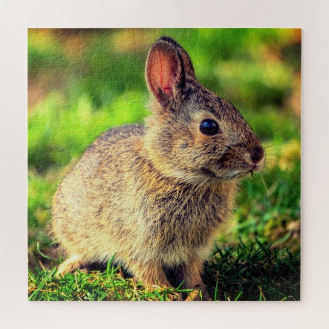 Niedlich Little Bunny - Sweet Puzzle (Horizontal)