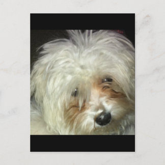 Niedlich Little Casper Postkarte