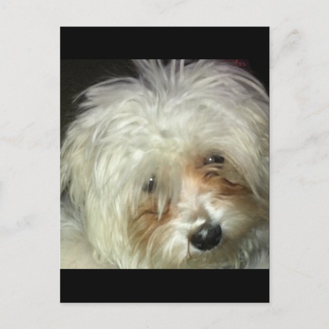 Niedlich Little Casper Postkarte (Vorderseite)