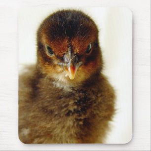 Niedlich Little Chick Mousepad