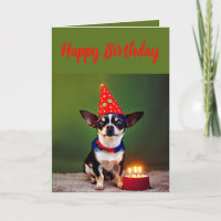 Niedlich Little Chihuahua Geburtstag
