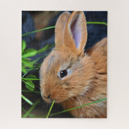 Niedlich Little Golden Bunny Puzzle