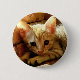 Niedlich Little Kitten Button