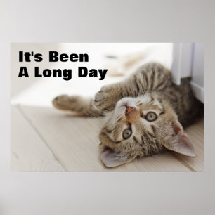 Niedlich Little Kitten Poster