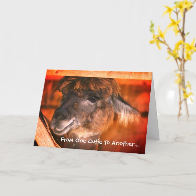 Niedlich Llama Humore Animal Birthday Karte (Gelbe Blume)