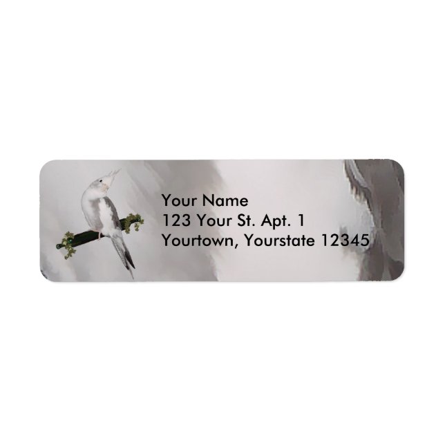 Niedlich Lutino Cockatiel Bird Ivy Perltier (Vorne)