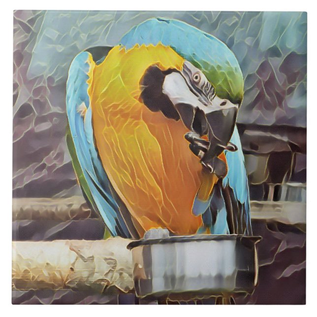 NIEDLICH MACAW FLIESE (Vorderseite)