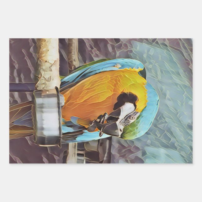 NIEDLICH MACAW GESCHENKPAPIER SET (Vorderseite)