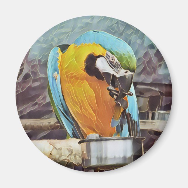 NIEDLICH MACAW MAGNET (Vorne)