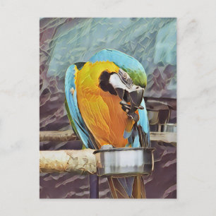 NIEDLICH MACAW POSTKARTE