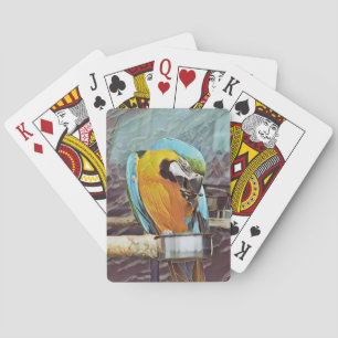 NIEDLICH MACAW SPIELKARTEN