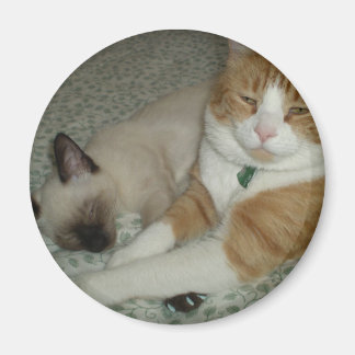 Niedlich Magnet