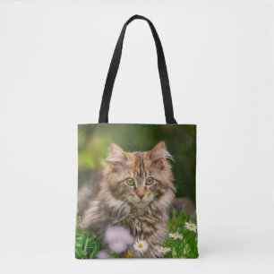 Niedlich Maine Coon Kitten Cat Blume Wiese - Shopp