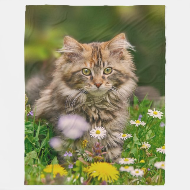 Niedlich Maine Coon Kitten Cat in Blume Wiese - Fleecedecke (Vorderseite)